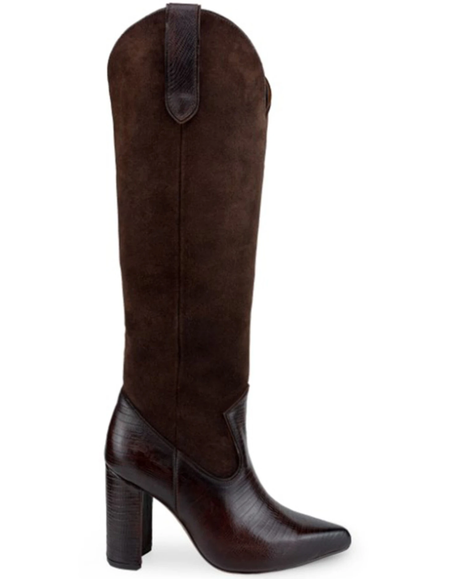 Dante Women's Vallejo Lizard Print Boots - Pointed Toe